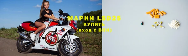 шишки Алзамай