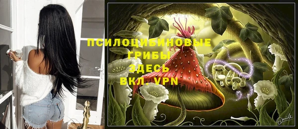 соль ск Абдулино