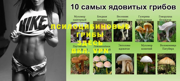 соль ск Абдулино